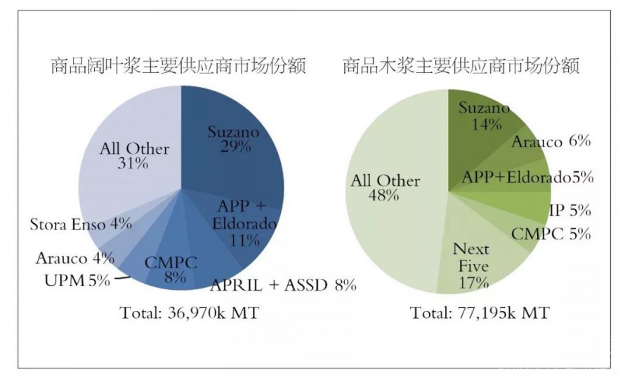 中國木漿市場前景展望